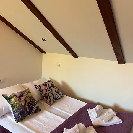 Apartament Pkt Delux Ni