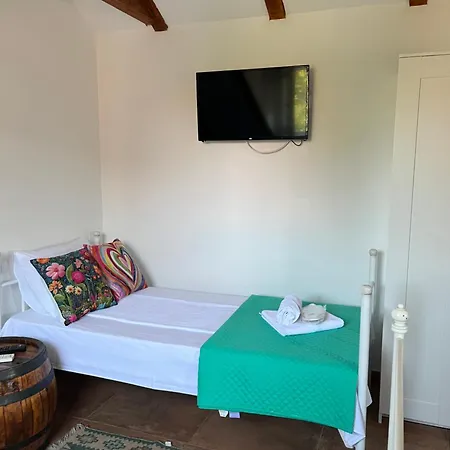 Pkt Delux Apartament Ni